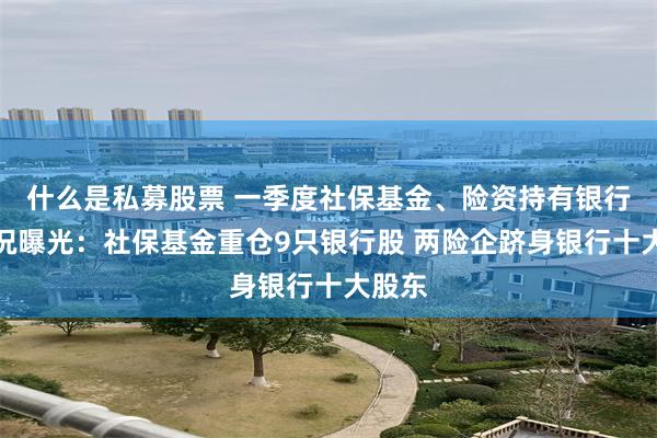 什么是私募股票 一季度社保基金、险资持有银行股情况曝光：社保基金重仓9只银行股 两险企跻身银行十大股东