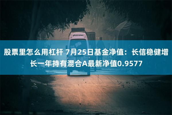 股票里怎么用杠杆 7月25日基金净值：长信稳健增长一年持有混合A最新净值0.9577