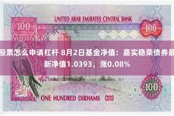 股票怎么申请杠杆 8月2日基金净值：嘉实稳荣债券最新净值1.0393，涨0.08%