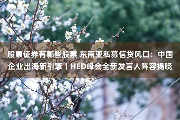 股票证券有哪些股票 东南亚私募信贷风口：中国企业出海新引擎丨HED峰会全新发言人阵容揭晓