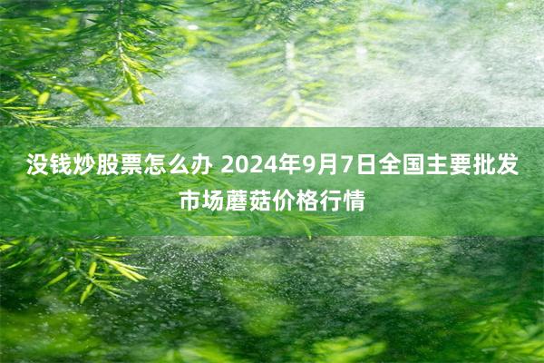 没钱炒股票怎么办 2024年9月7日全国主要批发市场蘑菇价格行情