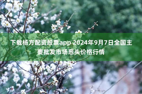 下载杨方配资股票app 2024年9月7日全国主要批发市场葱头价格行情