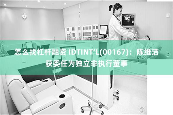 怎么找杠杆融资 IDTINT‘L(00167)：陈维洁获委任为独立非执行董事