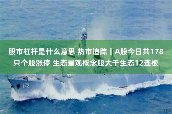 股市杠杆是什么意思 热市追踪丨A股今日共178只个股涨停 生态景观概念股大千生态12连板