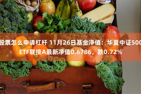 股票怎么申请杠杆 11月26日基金净值：华夏中证500ETF联接A最新净值0.6786，跌0.72%