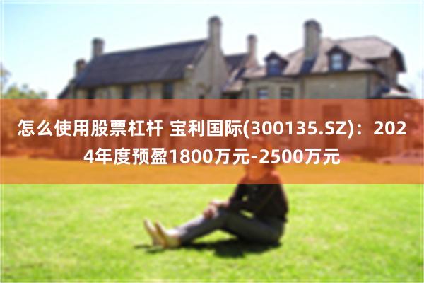 怎么使用股票杠杆 宝利国际(300135.SZ)：2024年度预盈1800万元-2500万元