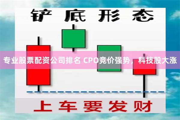 专业股票配资公司排名 CPO竞价强势，科技股大涨