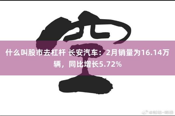 什么叫股市去杠杆 长安汽车：2月销量为16.14万辆，同比增长5.72%