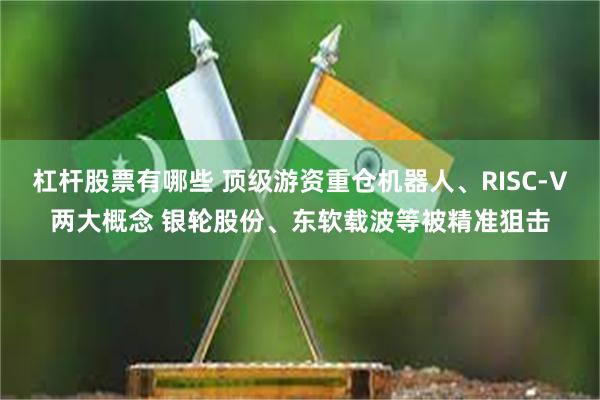 杠杆股票有哪些 顶级游资重仓机器人、RISC-V两大概念 银轮股份、东软载波等被精准狙击