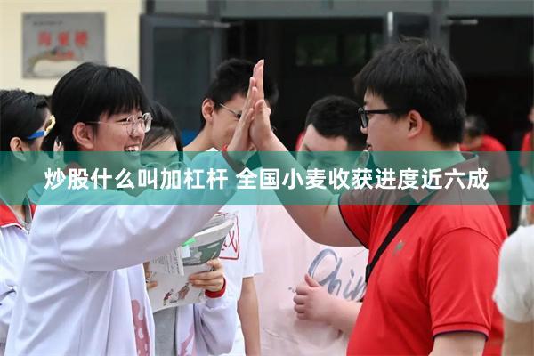 炒股什么叫加杠杆 全国小麦收获进度近六成