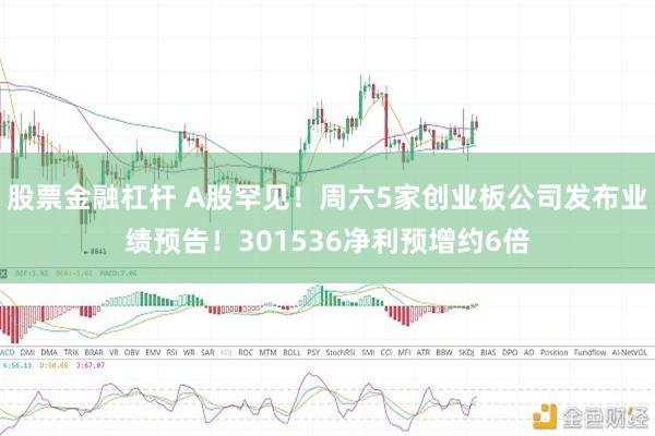 股票金融杠杆 A股罕见！周六5家创业板公司发布业绩预告！301536净利预增约6倍