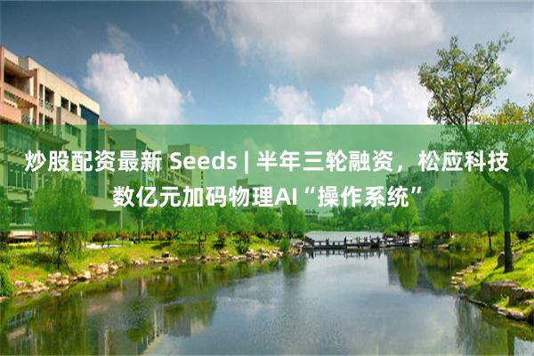 炒股配资最新 Seeds | 半年三轮融资，松应科技数亿元加码物理AI“操作系统”