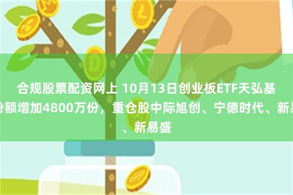 合规股票配资网上 10月13日创业板ETF天弘基金份额增加4800万份，重仓股中际旭创、宁德时代、新易盛